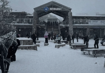 Mount Buller Snow Trips